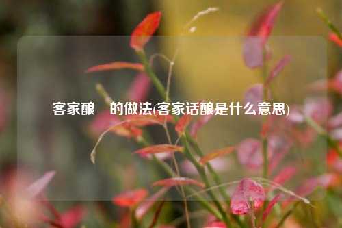 客家酿粄的做法(客家话酿是什么意思)